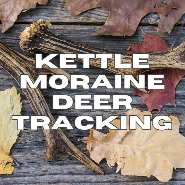 Kettle Moraine Deer Tracking